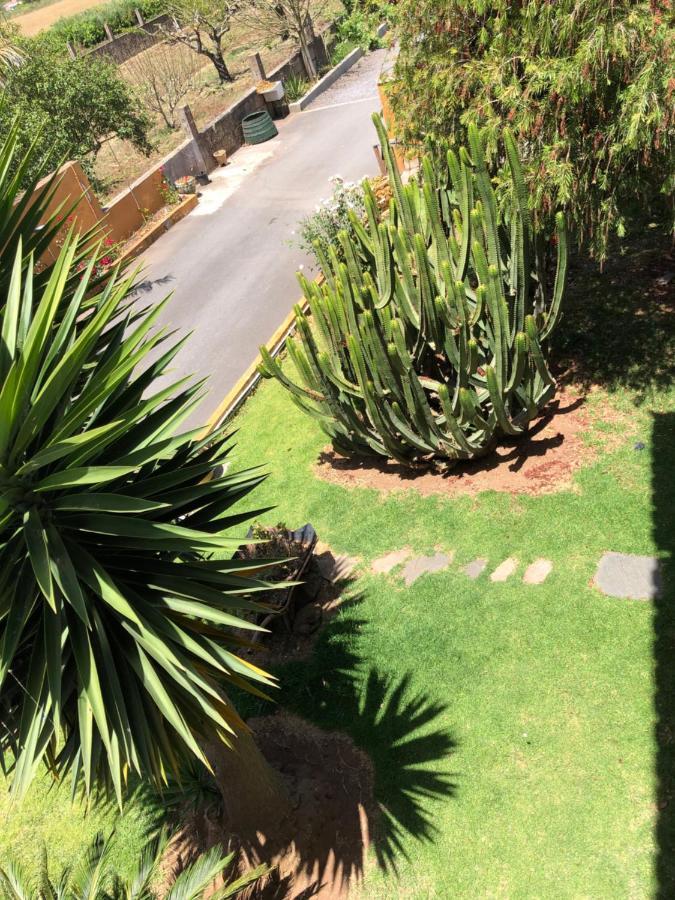 Apartamento En La Laguna San Cristóbal de La Laguna Exterior foto